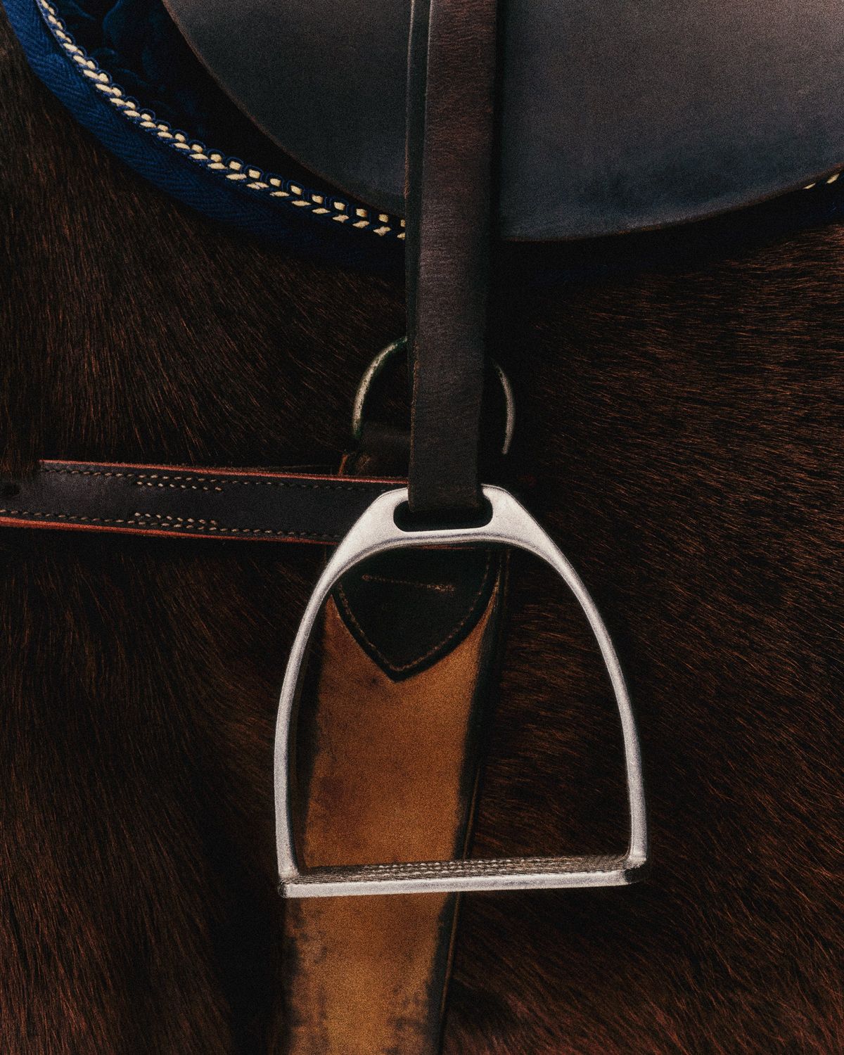 A polished silver stirrup against the dark coat of a bay horse