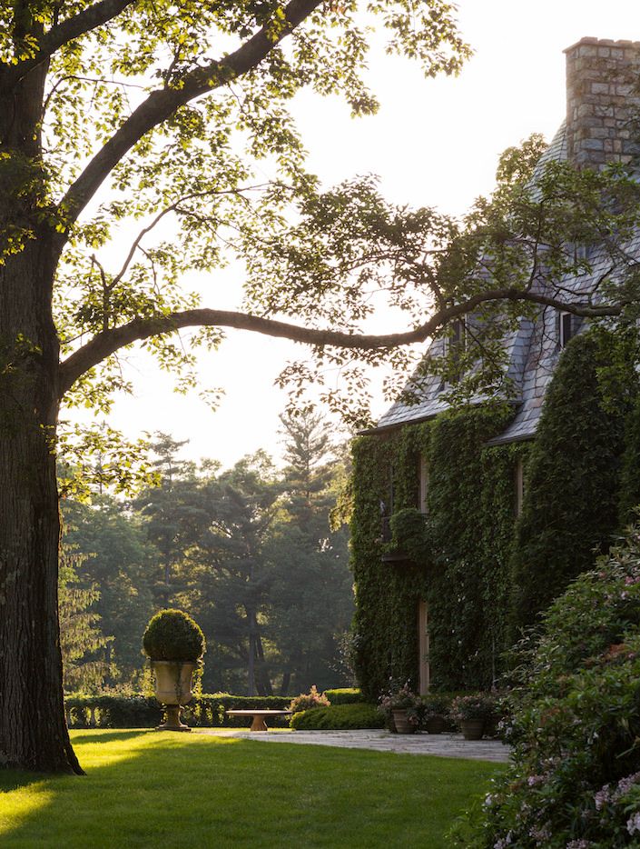 An ivy-covered stone manor at golden hour with a clipped topiary in the garden